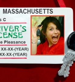 Personalized New Driver Christmas Ornament License Frame